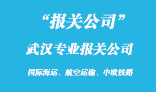 武漢專業(yè)報(bào)關(guān)公司