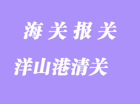 臺灣進口物流_上海洋山港清關