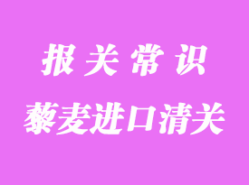 藜麥進口清關(guān)流程