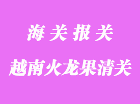 越南火龍果進口到國內(nèi)口岸清關(guān)手續(xù)如何辦理